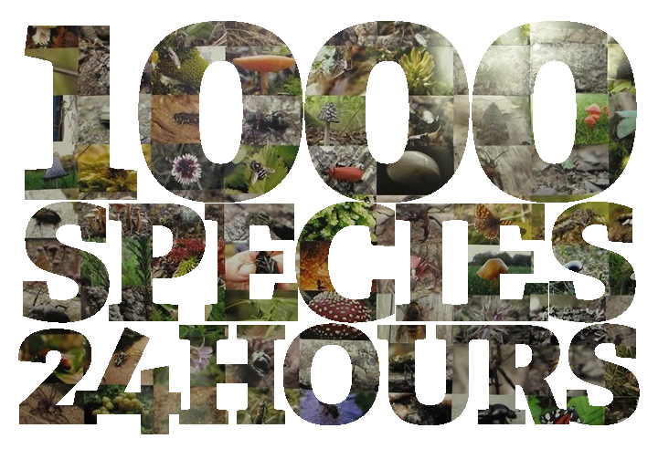 Can we spot 1000 species in 24 hours?